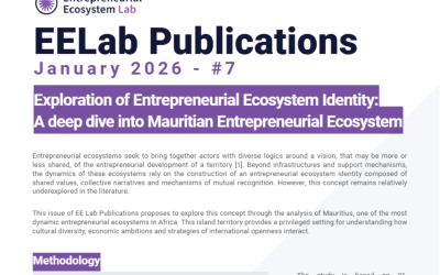 # 7 – EN –  Exploration of Entrepreneurial Ecosystem Identity : A deep dive into Mauritian Entrepreneurial Ecosystem